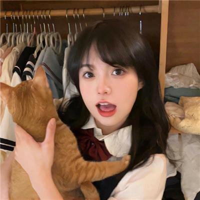 高调人生 高清封面